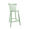 Breakfast Room Green