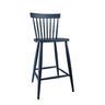 Hague Blue
