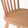 Neptune's Natural Oak