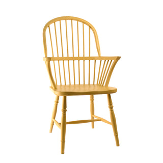 Traditional Windsor Carver Chair, Painted